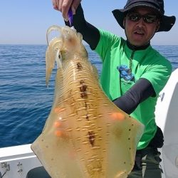 フィッシングボートACE（エース） 釣果