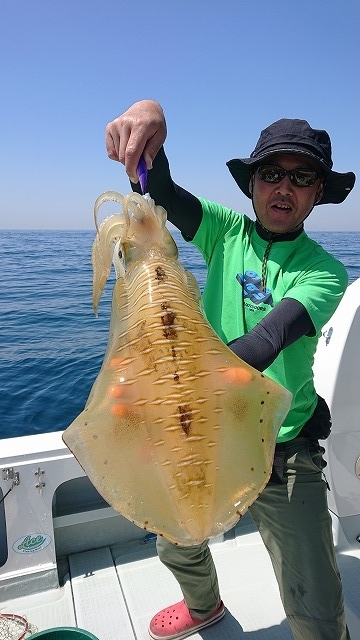 フィッシングボートACE（エース） 釣果