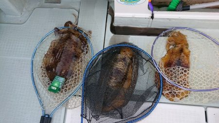 フィッシングボートACE（エース） 釣果