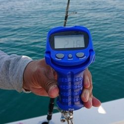 フィッシングボートACE（エース） 釣果