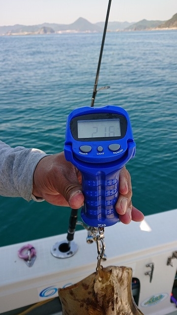 フィッシングボートACE（エース） 釣果