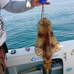 フィッシングボートACE（エース） 釣果