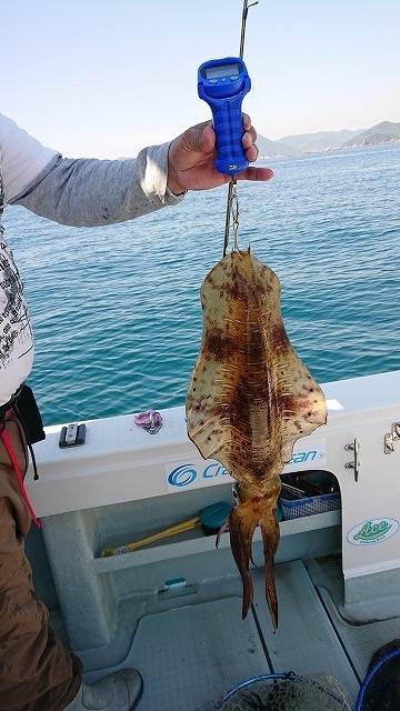 フィッシングボートACE（エース） 釣果