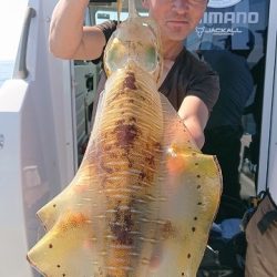 フィッシングボートACE（エース） 釣果