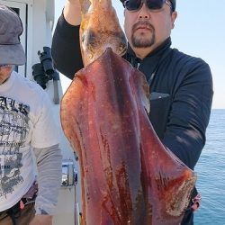 フィッシングボートACE（エース） 釣果