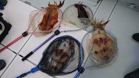 フィッシングボートACE(エース) 釣果