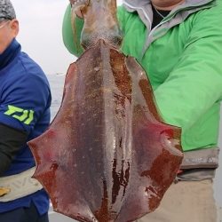 フィッシングボートACE(エース) 釣果