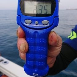 フィッシングボートACE(エース) 釣果