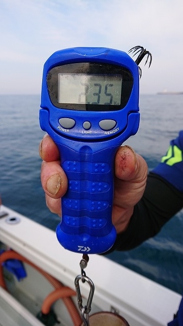 フィッシングボートACE(エース) 釣果