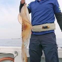 フィッシングボートACE(エース) 釣果