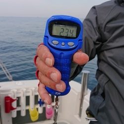 フィッシングボートACE(エース) 釣果