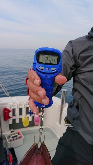 フィッシングボートACE(エース) 釣果