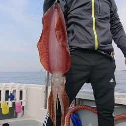 フィッシングボートACE(エース) 釣果