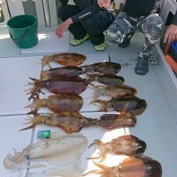 フィッシングボートACE(エース) 釣果