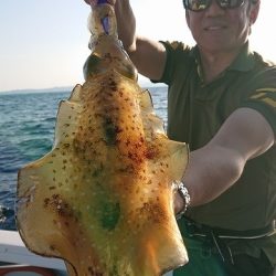 フィッシングボートACE(エース) 釣果