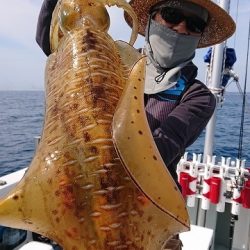 フィッシングボートACE(エース) 釣果