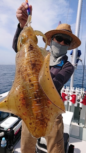 フィッシングボートACE(エース) 釣果