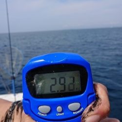 フィッシングボートACE(エース) 釣果