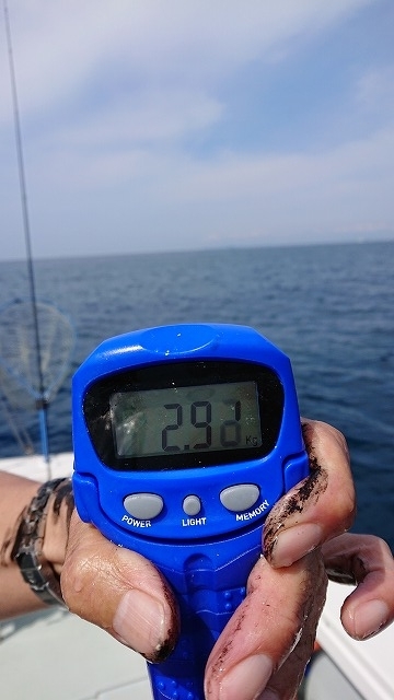 フィッシングボートACE(エース) 釣果