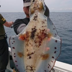 フィッシングボートACE(エース) 釣果