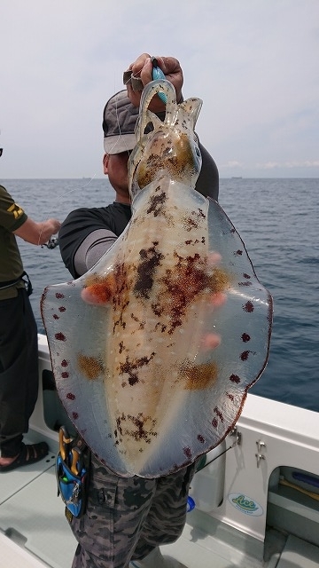 フィッシングボートACE(エース) 釣果