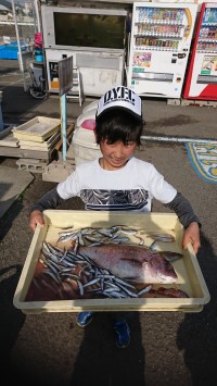 和歌山マリーナシティ釣り公園 釣果