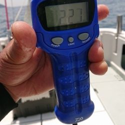 フィッシングボートACE(エース) 釣果