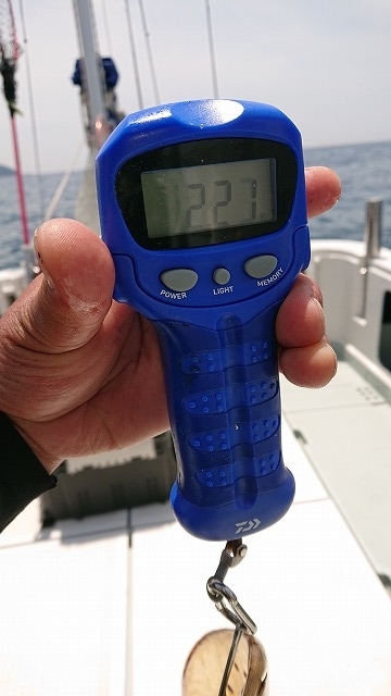 フィッシングボートACE(エース) 釣果