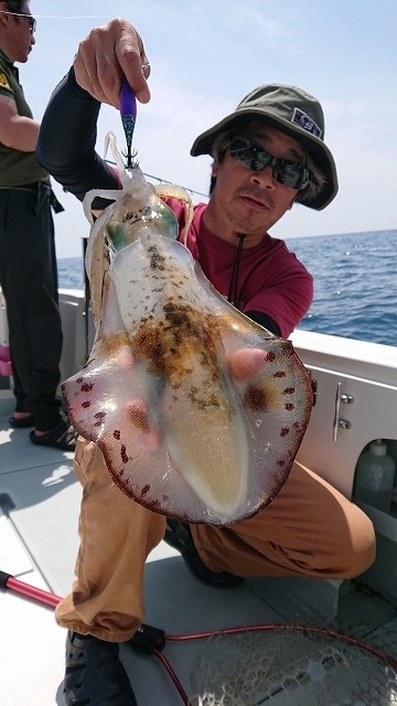 フィッシングボートACE(エース) 釣果