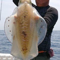 フィッシングボートACE(エース) 釣果