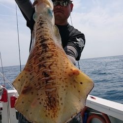 フィッシングボートACE(エース) 釣果