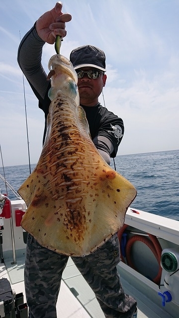 フィッシングボートACE(エース) 釣果