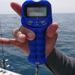 フィッシングボートACE(エース) 釣果