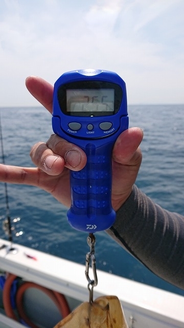 フィッシングボートACE(エース) 釣果