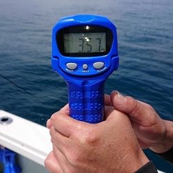 フィッシングボートACE（エース） 釣果