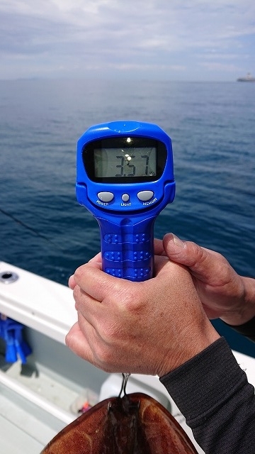 フィッシングボートACE（エース） 釣果