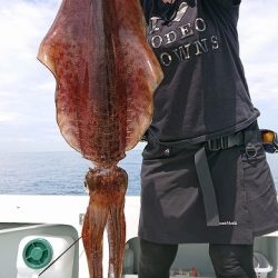 フィッシングボートACE（エース） 釣果