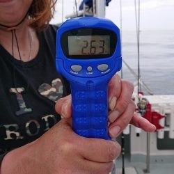 フィッシングボートACE（エース） 釣果