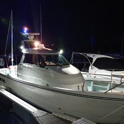 フィッシングボートACE(エース) 釣果