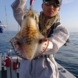 フィッシングボートACE(エース) 釣果