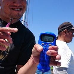 フィッシングボートACE(エース) 釣果