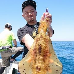 フィッシングボートACE(エース) 釣果