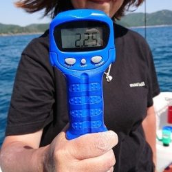 フィッシングボートACE(エース) 釣果