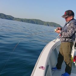 フィッシングボートACE(エース) 釣果