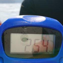 フィッシングボートACE(エース) 釣果