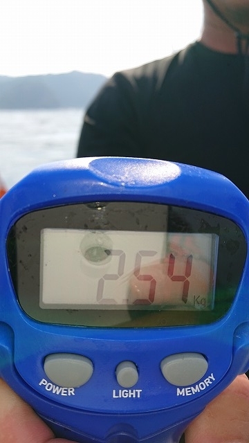 フィッシングボートACE(エース) 釣果