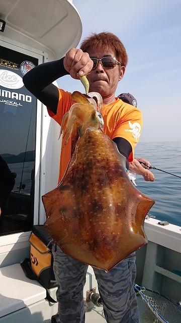 フィッシングボートACE(エース) 釣果