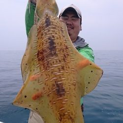 フィッシングボートACE(エース) 釣果