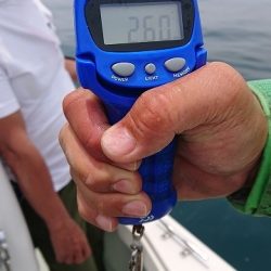 フィッシングボートACE(エース) 釣果