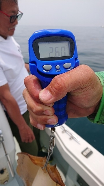 フィッシングボートACE(エース) 釣果